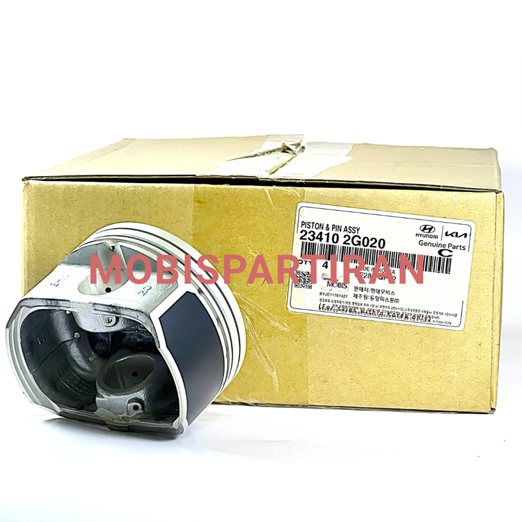 پیستون استاندارد سراتو 234102G020